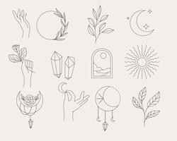 Minimalist line art collection of celestial and botanical elements. vector