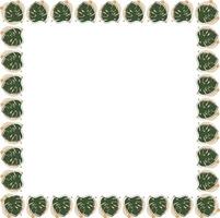 Flourish nature elements frame. Aesthetic elements on white background border with empty space vector