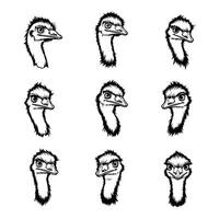 Expressive Ostrich Head Illustrations Perfect for Your Next Design Project vector