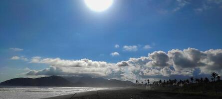 Sunlit Beach with Palm Trees and Ocean View photo