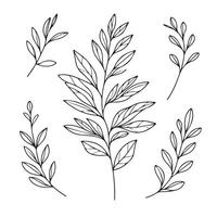 A set of leaves and branches drawn in black and white vector