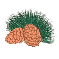 Cedarwood. A base note in perfumery. vector