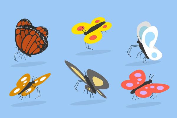 3D Isometric Flat Set of Colorful Tropical Butterflies, Flying Insects