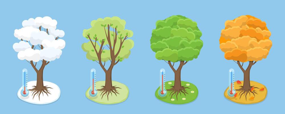 3D Isometric Flat Illustration of Four Seasons, Spring, Summer, Autumn and Winter