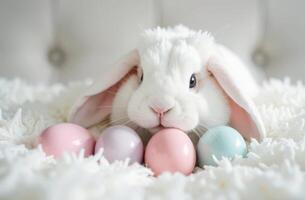 Adorable white bunny with pastel easter eggs on soft fluffy blanket photo