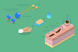 3D Isometric Flat Illustration of How Soap Works, Healthcare and Hygiene Basics vector