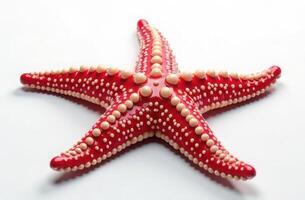 Vibrant 3D plastic red starfish with spotted texture on white background highlighting marine beauty photo