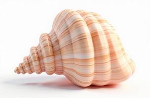 Beautiful 3D spiral seashell with orange and white stripes on white background photo