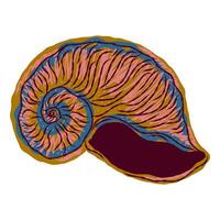 a colorful shell with a pink and blue pattern vector