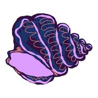 a purple shell with a purple background vector