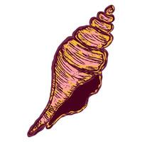 a hand drawn illustration of a conch shell vector
