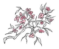 Beautiful Japanese Sakura in doodle style. Hand drawn Cherry blossom branch. Spring flower background. Drawn with trendy curve line in ink. outline illustration. vector