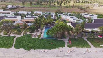 Tropical beachfront resort with palm trees and a swimming pool video