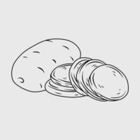Raw potato whole and sliced. Thin line illustration vector