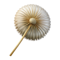 sumptuous acclaimed Photorealistic isolated cutout ultra-detailed single piece of amber, containing an insect with Transparent Background png