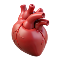 sumptuous mysterious nordic Hyper-specific, professional render of a single, human heart, anatomically correct, isolated cutout with Transparent Background high resolution png