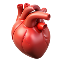 picturesque exceptional Hyper-specific, professional render of a single, human heart, anatomically correct, isolated cutout with Transparent Background png