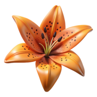 harmonious elegant Isolated cutout, photorealistic, ultra-detailed professional render of a single, hyper-specific tiger lily flower, orange with black spots with Transparent Background impeccable png
