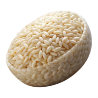 unforgettable minimalist Photorealistic ultra-detailed isolated cutout of a single grain of rice with Transparent Background elite png