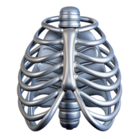 wonderful retro Photorealistic, ultra-detailed isolated cutout of a biomechanical ribcage with metallic reinforcement with Transparent Background refined png