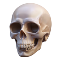 unparalleled artistic Professional render, isolated cutout of a hyper-specific, decaying apple with a miniature human skeleton visible inside with Transparent Background expertly shot png