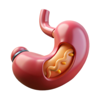 stunning creative Professional render, hyper-specific isolated cutout of a biomechanical artificial stomach with digestive enzymes and nutrient absorption systems with Transparent Background refined png