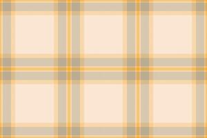 Native seamless textile, floor background pattern check. Tiny plaid fabric texture tartan in antique white and pastel colors. vector