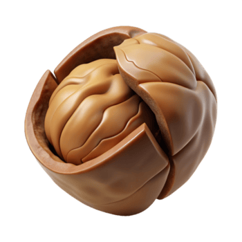 sumptuous dreamy creative Isolated cutout, concept art style, hyper-specific rendering of a single, cracked walnut shell revealing the nut inside with Transparent Background top-tier png