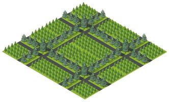 Isometric forest with trees and roads vector