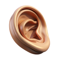 vibrant notable Hyper-specific professional render of a single human ear with intricate details and realistic textures Isolated cutout with Transparent Background png