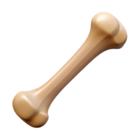 splendid sought-after Ultra-detailed, photorealistic render of a single bone, human femur, isolated cutout with Transparent Background png