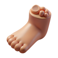 playful pristine Photorealistic isolated cutout of a human foot with realistic details and toenails with Transparent Background masterfully captured png