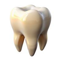 stunning coveted Ultra-detailed, professional render of a single human tooth with realistic enamel and root structure Isolated cutout with Transparent Background png