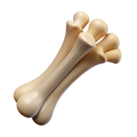 spectacular surreal Professional render of a biomechanical primate finger bone, photorealistic, ultra-detailed, hyper-specific, isolated cutout with Transparent Background expertly shot png
