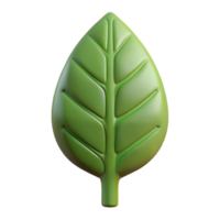 signature bohemian Concept art style, isolated cutout of a single, abstract, tree leaf with Transparent Background expertly shot png