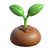 mesmerizing distinguished Germinating seed sprouting with Transparent Background png