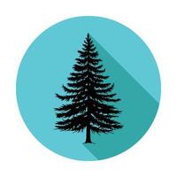A pine tree icon on a blue circle vector