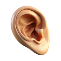 serene elegant Photorealistic isolated cutout of a single human ear with realistic details and cartilage with Transparent Background sharp png
