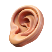 mysterious glorious Photorealistic isolated cutout of a single human ear with realistic details and cartilage with Transparent Background impeccable png