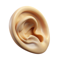 mesmerizing ethereal rustic Ultra-detailed, photorealistic isolated cutout of a single, floating, human ear made of intricately carved ivory with Transparent Background fine detail png