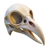 vibrant contemporary Isolated cutout of a concept art style hyper-specific bird skull, delicate bone structure, intricate details, with Transparent Background masterfully captured png