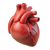mesmerizing victorian Isolated cutout of a single ultra-detailed photorealistic human heart rendered in anatomical detail, professional render with Transparent Background impeccable png