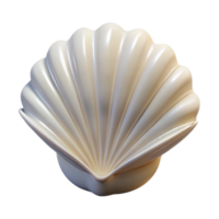 peaceful beautiful Ultra-detailed, photorealistic isolated cutout of a single white seashell with Transparent Background fine detail png
