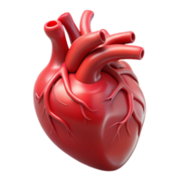 quintessential geometric Photorealistic, hyper-specific render of a single, human heart with visible arteries and veins Isolated cutout with Transparent Background impeccable png