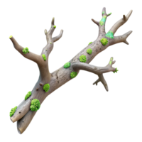 picturesque standout Concept art style, isolated cutout of a single, decaying tree branch with visible bark texture and lichen growth with Transparent Background png