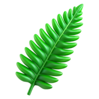 vibrant contemporary Green fern frond with Transparent Background gallery standard png