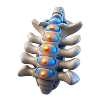 vibrant standout Hyper-specific photorealistic biomechanical spine, vertebrae with integrated circuitry, glowing nodes, titanium alloy, isolated cutout with Transparent Background png