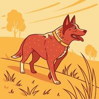 Red Heeler Dog in Field vector