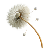 extraordinary artistic A Single Dandelion Seedhead Blowing in authentic png