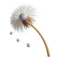magnificent modern A Single Dandelion Seedhead Blowing in authentic png